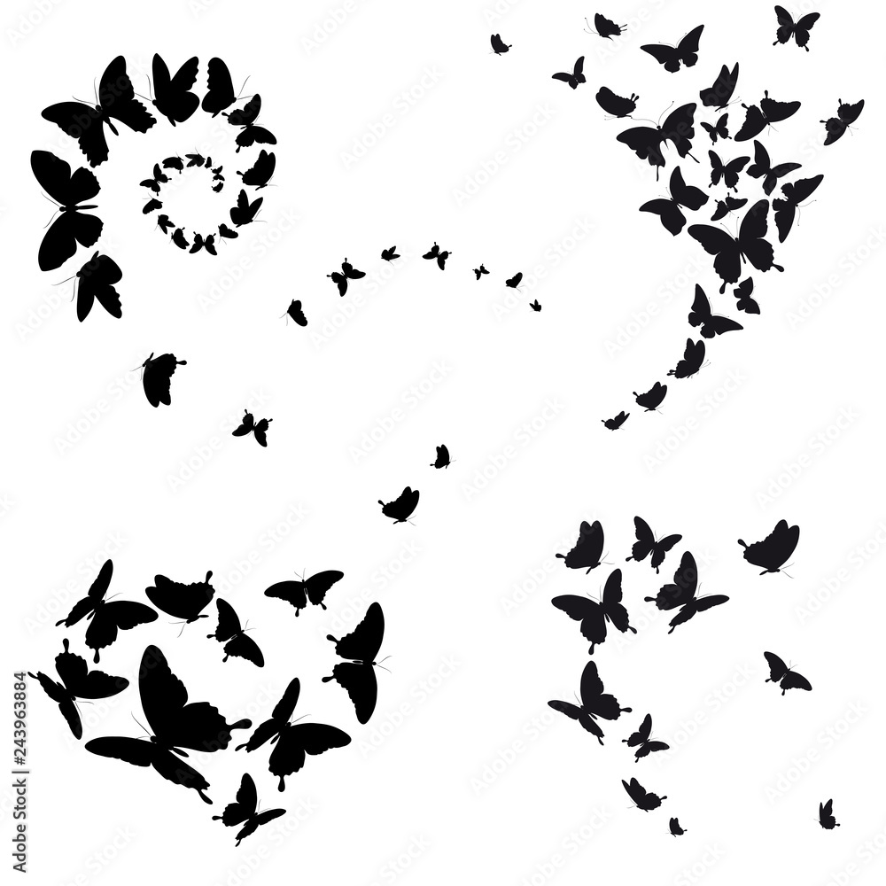 Canvas Prints black butterfly, isolated on a white