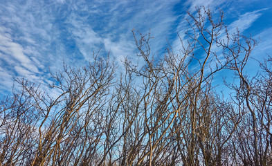 A walking path in a municipal park.