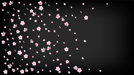 Nice Sakura Blossom Isolated Vector. Summer Blowing 3d Petals Wedding Texture. Japanese Funky Flowers Wallpaper. Valentine, Mother's Day Realistic Nice Sakura Blossom Isolated on Black