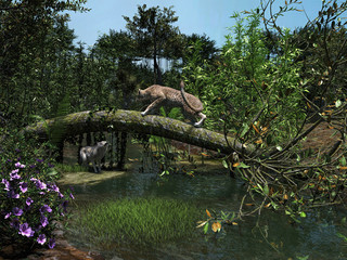 Cheetah  in the forest