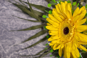 Colorful flowers on grey background.Bouquet of flowers