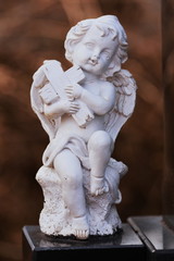  Angel statue in cemetery,Bistrita, Romania,