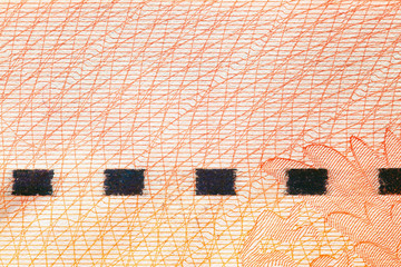 page of passport with a protective element, macro, background