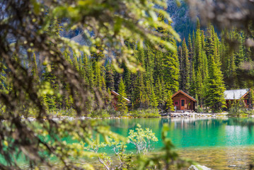 Cottages at Lake Ohara hiking trail in sunny day in Spring, Yoho, Canada - 243968096