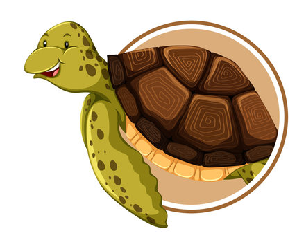 Turtle on circle template