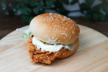 burger or chicken burger