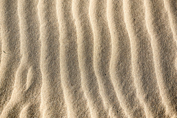Sand dunes in the Sahara desert