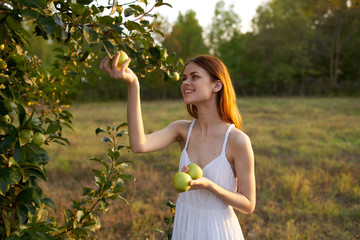 woman with apple harvest summer cottage summer