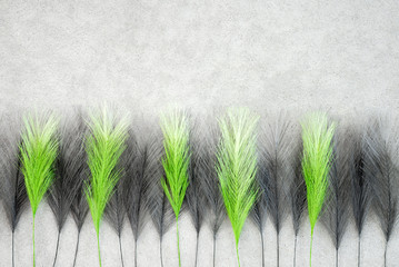 Green and black feathers on concrete background
