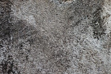 Background surface cement on the floors have lichen nature from rain water.