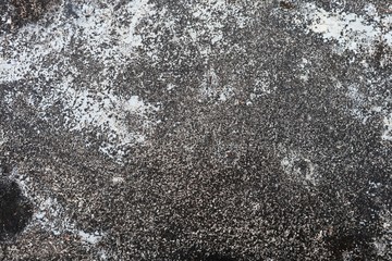 Background surface cement on the floors have lichen nature from rain water.