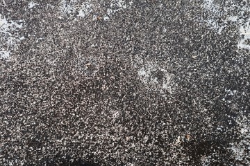 Background surface cement on the floors have lichen nature from rain water.