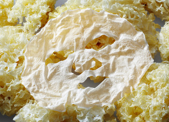 Plant white fungus and white fungus Mask, in the background of snowy mountains