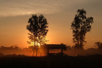 twilight sun rise. silhouette at countryside.