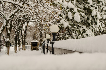 winter in the city park