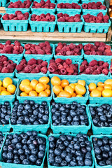 Berries for Sale in the Market
