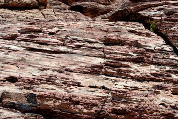 Texture of Rock Wall in Red Rock Canyon, Nevada