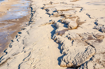 Tracks, Ice, and Sand on a Beach