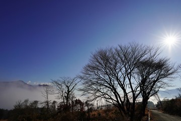 Fototapeta na wymiar 雲海が広がる南阿蘇の風景
