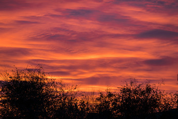 Fototapeta premium sunset, red sky