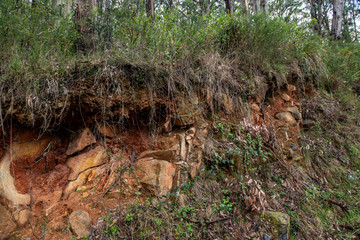 Obraz premium Landscape