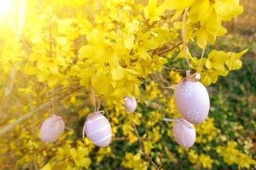 Easter  eggs on yellow flowering branches. Spring Easter festive background.Easter. Symbols of Easter.Spring holiday