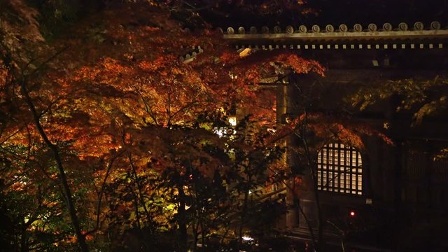 Static Shot of Traditional Japanese Structure and Fall Foliage at Night 
