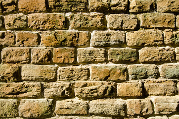 Old brick wall in sunshine