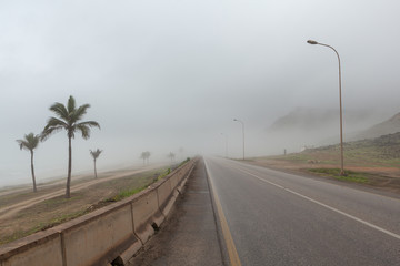 Coastal road near Salalah, Dhofar Province, Oman, during Khareef monsoon season