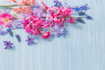 spring flowers on old blue wooden background