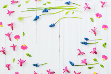 pink and blue spring flowers on white wooden background