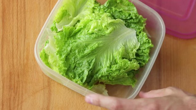man open plastic container with fresh  salad lettuce leaves