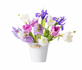 spring flowers in bucket isolated on white  background
