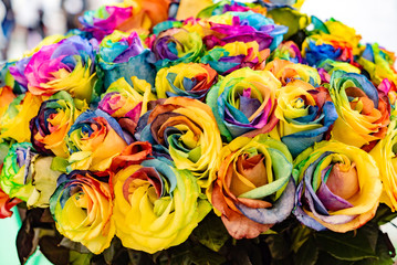 Fototapeta na wymiar colorful roses bouquet, natural background