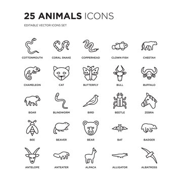 Set of 25 animals linear icons such as cottonmouth, coral snake, copperhead, Clown fish, Cheetah, Buffalo, Zebra, Badger, vector illustration of trendy icon pack. Line icons with thin line stroke.