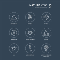 9 Mountains, Mimosa, Lily, Lotus, Lotus flower, Maple, Magnolia, Lemongrass modern icons on black background, vector illustration, eps10, trendy icon set.