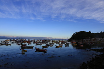 mar chile