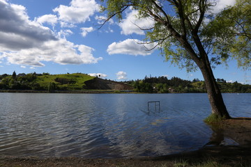 laguna 