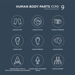 9 Human Foot, Fetus, body with x ray plate focusing on stomach, Brain, Breast, Eyebrow modern icons black background, vector illustration, eps10, trendy icon set.