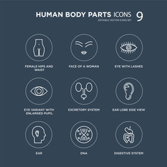 9 Female hips and waist, Face of a woman, Ear, Ear lobe side view, Excretory system, Eye with lashes modern icons on black background, vector illustration, eps10, trendy icon set.