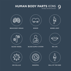 9 Brain body organ, Bosom, Big Cellule, Lips, Blood Supply System, Bones Joint, Vessel, Basophil modern icons on black background, vector illustration, eps10, trendy icon set.