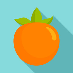 Persimmon fruit icon. Flat illustration of persimmon fruit vector icon for web design