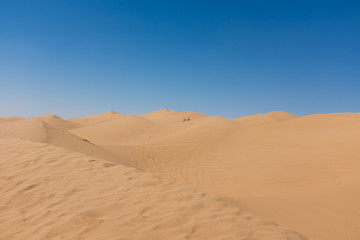 Fototapeta na wymiar The Empty Quarter desert, Oman