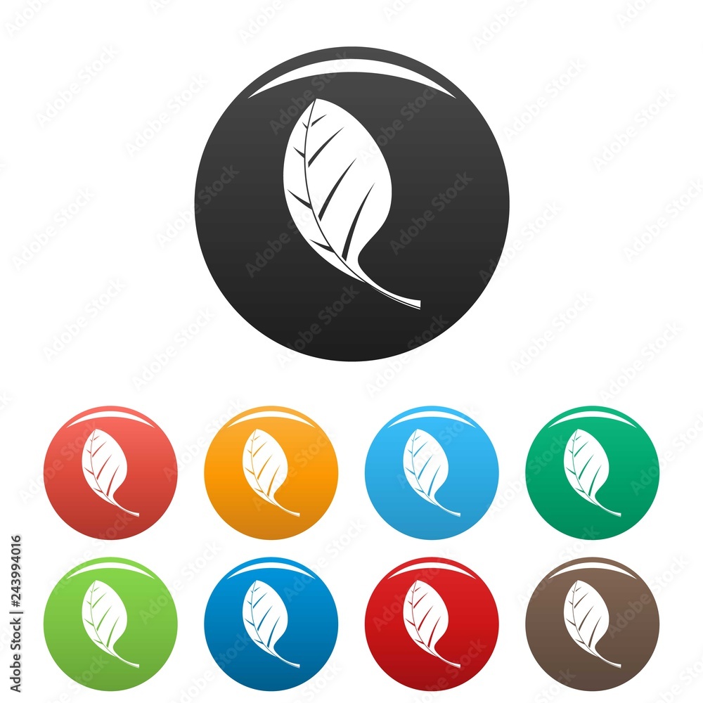 Poster spinach leave icons set 9 color vector isolated on white for any design