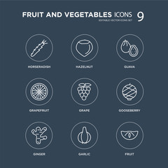 9 Horseradish, Hazelnut, Ginger, Gooseberry, Grape, Guava, Grapefruit, Garlic modern icons on black background, vector illustration, eps10, trendy icon set.