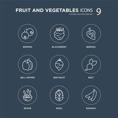 9 berries, Blackberry, Beans, Beet, Beetroot, Berries, Bell pepper, Basil modern icons on black background, vector illustration, eps10, trendy icon set.