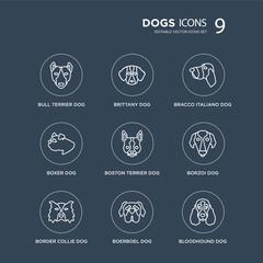9 Bull Terrier dog, Brittany Border Collie Borzoi Boston Bracco Italiano dog modern icons on black background, vector illustration, eps10, trendy icon set.