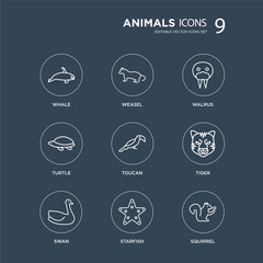 9 Whale, weasel, Swan, Tiger, Toucan, Walrus, Turtle, Starfish modern icons on black background, vector illustration, eps10, trendy icon set.