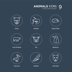 9 puma, Prawn, Pelican, Penguin, Pig, porcupine, Polar bear, Parrot modern icons on black background, vector illustration, eps10, trendy icon set.