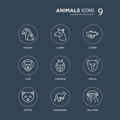 9 Macaw, Llama, kitten, Koala, Ladybug, Lizard, Lion, Kangaroo modern icons on black background, vector illustration, eps10, trendy icon set.
